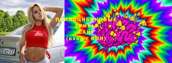 соль курить ск Кукмор